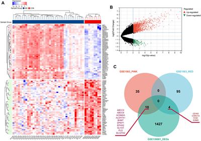 Comprehensive Network-Based Analyses Reveal Novel Renal Function-Related Targets in Acute Kidney Injury